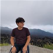 Studente laureando in ingegneria impartisce ripetizioni private per scuole elementari, medie e superiori nelle seguenti materie